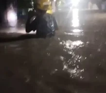 Rescatan alrededor de 160 familias tras inundaciones por intensas lluvias en Azua