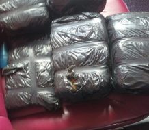 Confiscan ocho pacas de presunta marihuana en Azua