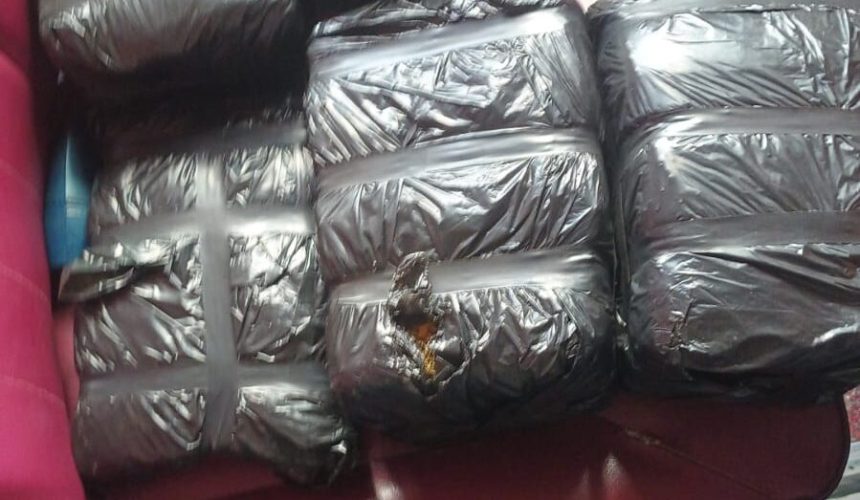 Confiscan ocho pacas de presunta marihuana en Azua