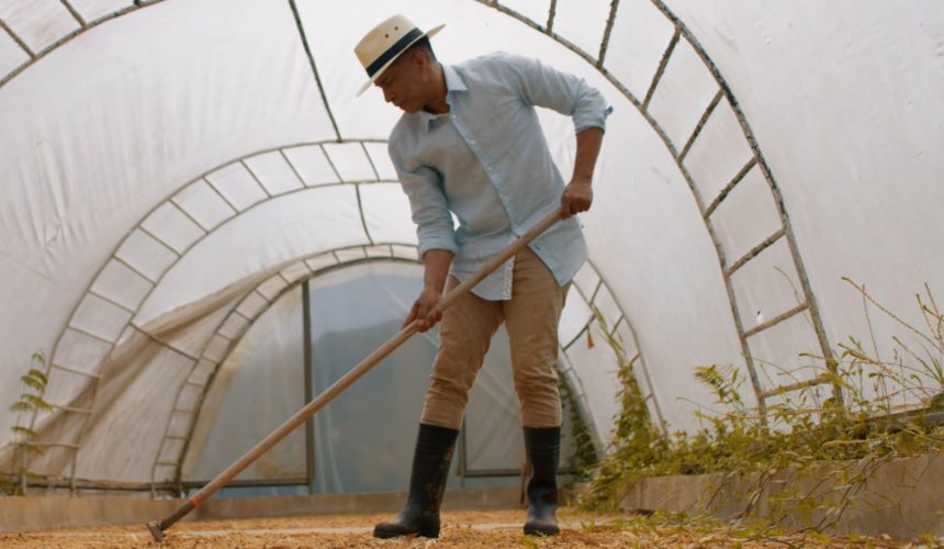 “Mares de agua de coco”, una propuesta audiovisual refrescante y de alta calidad