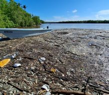 Ministro de Medio Ambiente investiga muerte de peces en el río Soco