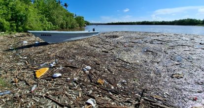 Ministro de Medio Ambiente investiga muerte de peces en el río Soco