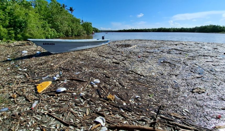 Ministro de Medio Ambiente investiga muerte de peces en el río Soco
