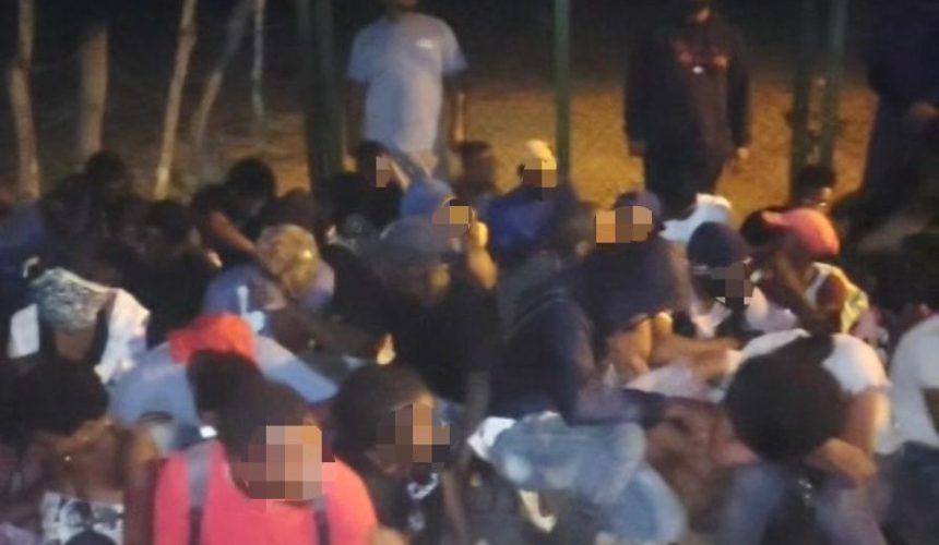 Interceptan 84 haitianos indocumentados escondidos en una zona boscosa de Montecristi