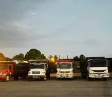 Detienen seis camiones que transportaban 117 reses en Montecristi