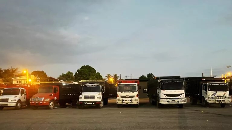 Detienen seis camiones que transportaban 117 reses en Montecristi