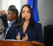 Faride sobre hombres abatidos en Santiago: “El MP está realizando las investigaciones”