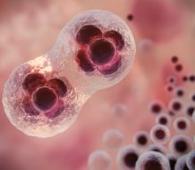Estudio revela efectividad uso células madre en quimioterapia