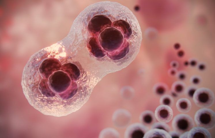 Estudio revela efectividad uso células madre en quimioterapia