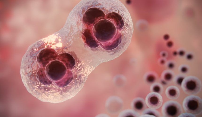 Estudio revela efectividad uso células madre en quimioterapia