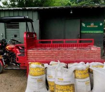 Ocupan casi 100 mil cigarrillos de contrabando ocultos en sacos de alimentos en Dajabón