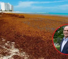 Medio Ambiente impulsa instalación de empresa extranjera para procesar sargazo en RD