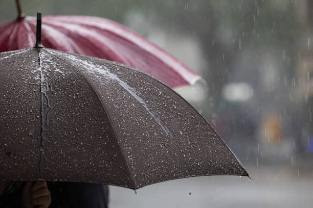 Viernes con algunos aguaceros con ráfagas de viento, según Meteorología 
