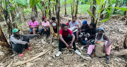 Arrestan 11 haitianos indocumentados escondidos en finca de Valverde