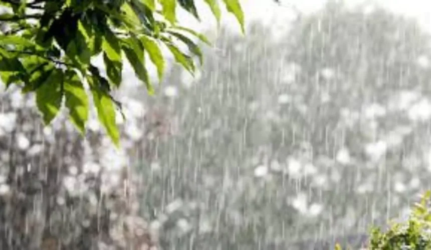 Tormenta Melissa continuará generando inundaciones y fuertes lluvias en el territorio nacional, informa Indomet