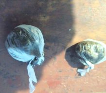 Policía apresa hombre en posesión de sustancias narcóticas en Cabral, Barahona