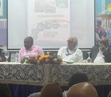 Organizaciones sociales abogan por “regularizar y formalizar” mano de obra haitiana en RD