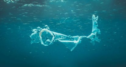 Analizan bacterias con potencial para degradar microplásticos marinos