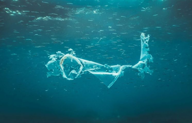 Analizan bacterias con potencial para degradar microplásticos marinos