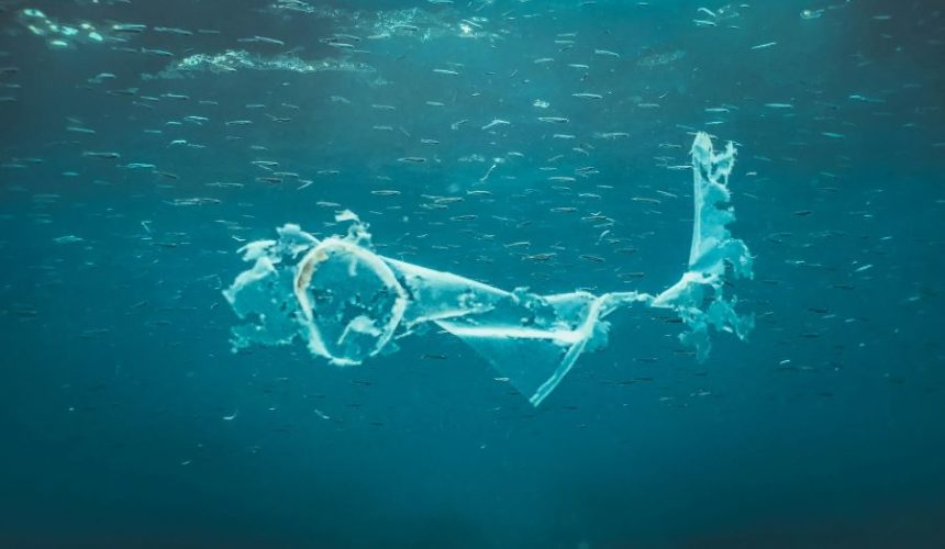 Analizan bacterias con potencial para degradar microplásticos marinos