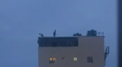 Hombre se lanza de edificio tras supuestamente haber robado en SDE