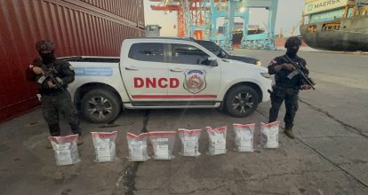 DNCD frustra envío de 37 paquetes de presunta cocaína a Puerto Rico