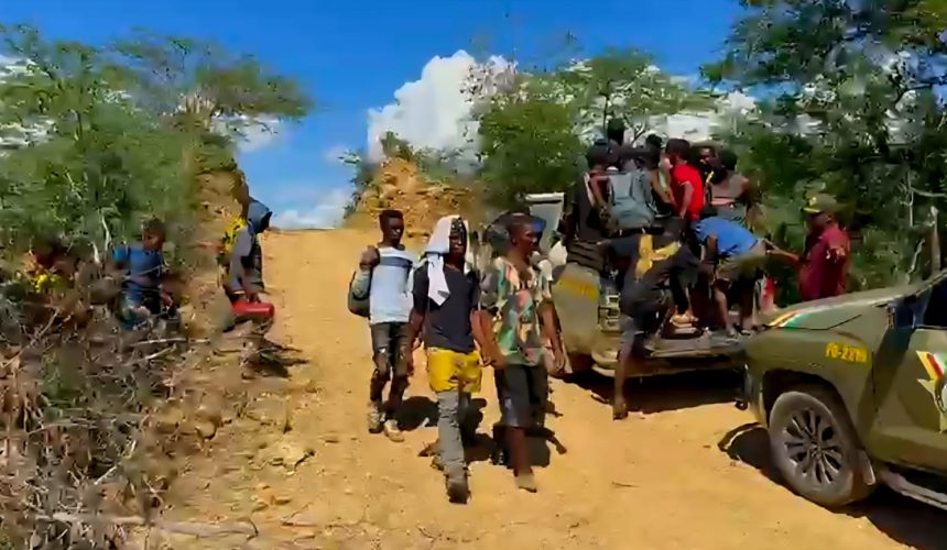 Arrestan más de 13 mil haitianos indocumentados durante operativos realizados en octubre 