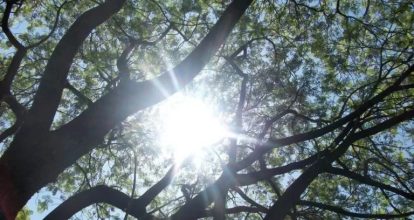 Condiciones secas dominarán el territorio nacional este martes, según Indomet