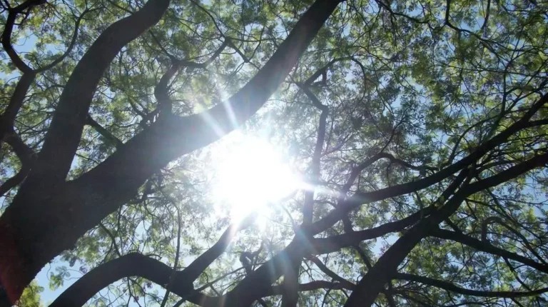 Condiciones secas dominarán el territorio nacional este martes, según Indomet