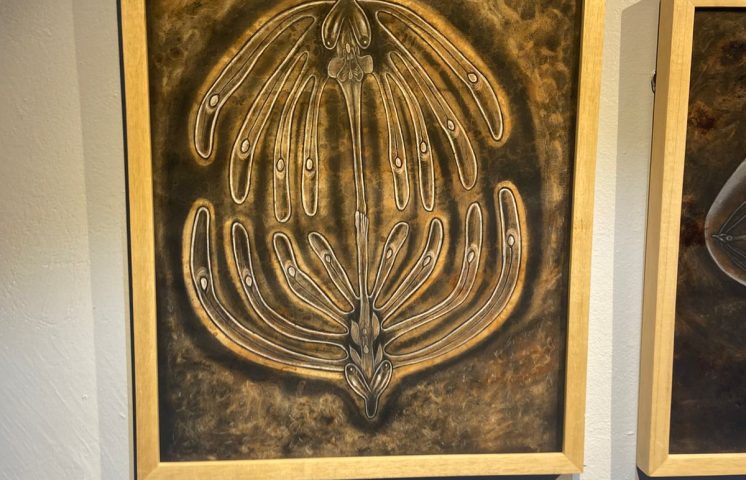 Museo Autozama inaugura exposición “La Medida de lo Sensible”