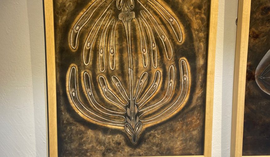 Museo Autozama inaugura exposición “La Medida de lo Sensible”