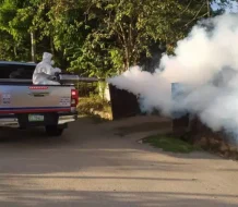 Salud Pública intensifica la vigilancia epidemiológica por presencia de chikungunya en Cuba