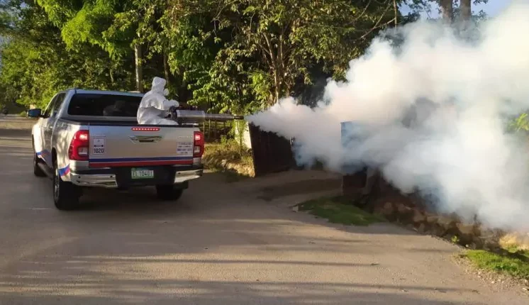 Salud Pública intensifica la vigilancia epidemiológica por presencia de chikungunya en Cuba