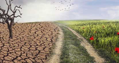 Papa León XIV advierte impacto del cambio climático amenaza contra la paz