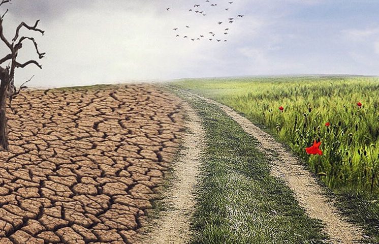 Papa León XIV advierte impacto del cambio climático amenaza contra la paz