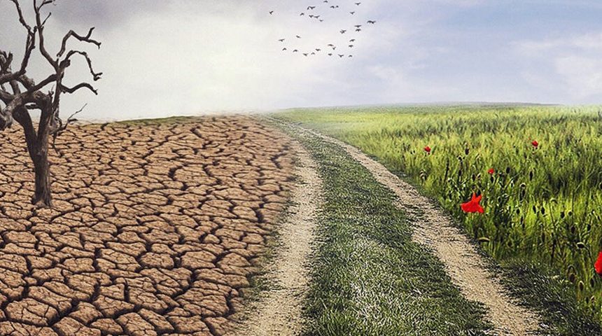 Papa León XIV advierte impacto del cambio climático amenaza contra la paz