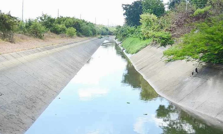 Hallan sin vida a mujer en canal en Santiago de los Caballeros 