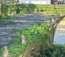 Obras Públicas impulsa más de 30 proyectos viales tras daños por tormenta Melissa