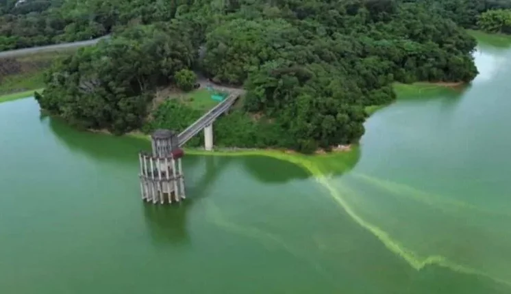 Comunitarios en Quita Sueño cuestionan informe oficial sobre el agua de la presa de Hatillo