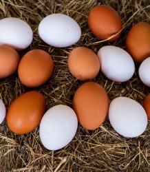 El país producirá más de 400 millones de huevos de mesa este mes