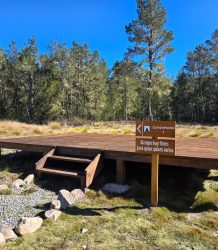 Medio Ambiente anuncia transición hacia nueva área de acampar Jardín del Edén en el Parque Nacional Valle Nuevo