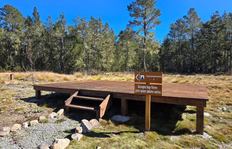 Medio Ambiente anuncia transición hacia nueva área de acampar Jardín del Edén en el Parque Nacional Valle Nuevo