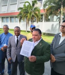 Organizaciones impugnan en el TC proyecto contra eliminación de candidaturas independientes